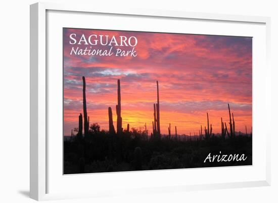 Saguaro National Park, Arizona - Pink Sunset-Lantern Press-Framed Art Print