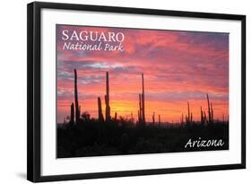 Saguaro National Park, Arizona - Pink Sunset-Lantern Press-Framed Art Print