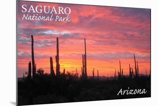 Saguaro National Park, Arizona - Pink Sunset-Lantern Press-Mounted Art Print