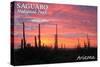 Saguaro National Park, Arizona - Pink Sunset-Lantern Press-Stretched Canvas