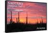 Saguaro National Park, Arizona - Pink Sunset-Lantern Press-Framed Stretched Canvas