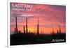 Saguaro National Park, Arizona - Pink Sunset-Lantern Press-Framed Art Print