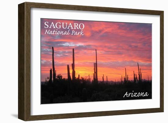 Saguaro National Park, Arizona - Pink Sunset-Lantern Press-Framed Art Print