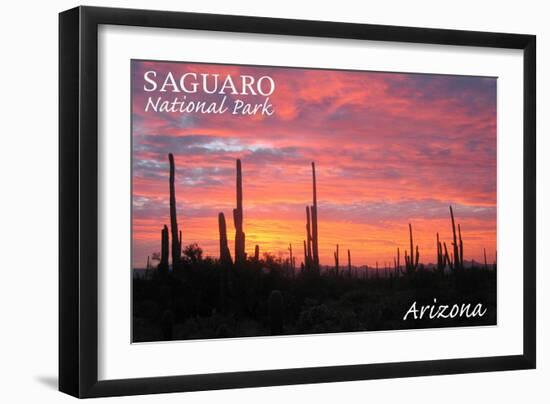 Saguaro National Park, Arizona - Pink Sunset-Lantern Press-Framed Art Print
