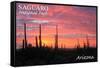 Saguaro National Park, Arizona - Pink Sunset-Lantern Press-Framed Stretched Canvas