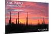 Saguaro National Park, Arizona - Pink Sunset-Lantern Press-Mounted Art Print