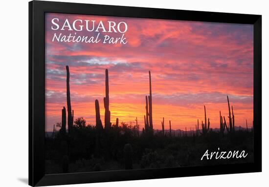 Saguaro National Park, Arizona - Pink Sunset-Lantern Press-Framed Art Print