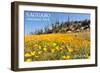 Saguaro National Park, Arizona - Poppies-Lantern Press-Framed Art Print