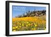 Saguaro National Park, Arizona - Poppies-Lantern Press-Framed Art Print