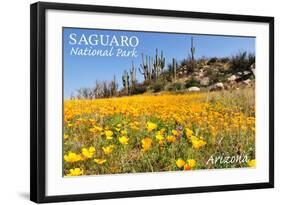 Saguaro National Park, Arizona - Poppies-Lantern Press-Framed Art Print