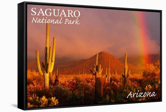 Saguaro National Park, Arizona - Rainbow-Lantern Press-Framed Stretched Canvas