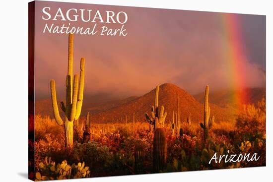 Saguaro National Park, Arizona - Rainbow-Lantern Press-Stretched Canvas