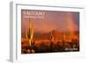 Saguaro National Park, Arizona - Rainbow-Lantern Press-Framed Art Print