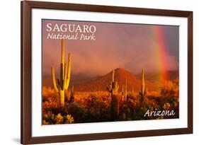 Saguaro National Park, Arizona - Rainbow-Lantern Press-Framed Art Print