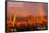 Saguaro National Park, Arizona - Rainbow-Lantern Press-Framed Stretched Canvas