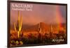 Saguaro National Park, Arizona - Rainbow-Lantern Press-Framed Art Print