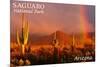 Saguaro National Park, Arizona - Rainbow-Lantern Press-Mounted Premium Giclee Print