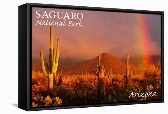 Saguaro National Park, Arizona - Rainbow-Lantern Press-Framed Stretched Canvas