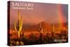 Saguaro National Park, Arizona - Rainbow-Lantern Press-Stretched Canvas