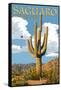 Saguaro National Park, Arizona - Roadrunner and Trail-Lantern Press-Framed Stretched Canvas