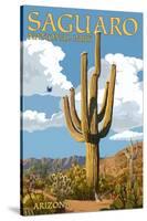 Saguaro National Park, Arizona - Roadrunner and Trail-Lantern Press-Stretched Canvas