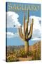 Saguaro National Park, Arizona - Roadrunner and Trail-Lantern Press-Stretched Canvas