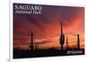 Saguaro National Park, Arizona - Storm and Sunset-Lantern Press-Framed Art Print