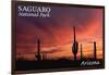 Saguaro National Park, Arizona - Storm and Sunset-Lantern Press-Framed Art Print