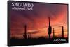 Saguaro National Park, Arizona - Storm and Sunset-Lantern Press-Framed Stretched Canvas