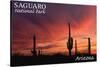 Saguaro National Park, Arizona - Storm and Sunset-Lantern Press-Stretched Canvas