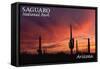 Saguaro National Park, Arizona - Storm and Sunset-Lantern Press-Framed Stretched Canvas