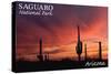 Saguaro National Park, Arizona - Storm and Sunset-Lantern Press-Stretched Canvas