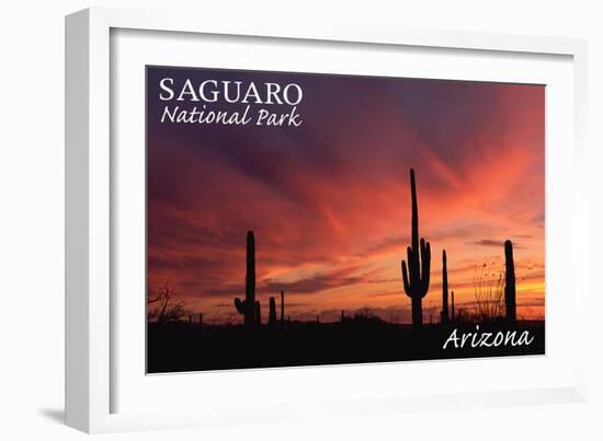 Saguaro National Park, Arizona - Storm and Sunset-Lantern Press-Framed Art Print