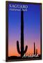 Saguaro National Park, Arizona - Sunset and Moon Crescent-Lantern Press-Framed Art Print