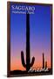 Saguaro National Park, Arizona - Sunset and Moon Crescent-Lantern Press-Framed Art Print