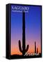 Saguaro National Park, Arizona - Sunset and Moon Crescent-Lantern Press-Framed Stretched Canvas