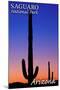 Saguaro National Park, Arizona - Sunset and Moon Crescent-Lantern Press-Mounted Art Print