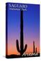 Saguaro National Park, Arizona - Sunset and Moon Crescent-Lantern Press-Stretched Canvas