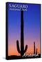 Saguaro National Park, Arizona - Sunset and Moon Crescent-Lantern Press-Framed Stretched Canvas