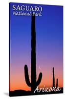 Saguaro National Park, Arizona - Sunset and Moon Crescent-Lantern Press-Stretched Canvas