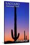 Saguaro National Park, Arizona - Sunset and Moon Crescent-Lantern Press-Stretched Canvas