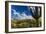 Saguaro National Park, Arizona-Ian Shive-Framed Photographic Print