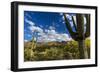 Saguaro National Park, Arizona-Ian Shive-Framed Photographic Print