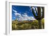 Saguaro National Park, Arizona-Ian Shive-Framed Photographic Print