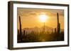 Saguaro National Park, Arizona-Ian Shive-Framed Premium Photographic Print