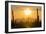 Saguaro National Park, Arizona-Ian Shive-Framed Premium Photographic Print