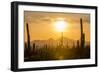 Saguaro National Park, Arizona-Ian Shive-Framed Premium Photographic Print