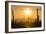 Saguaro National Park, Arizona-Ian Shive-Framed Photographic Print