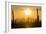 Saguaro National Park, Arizona-Ian Shive-Framed Photographic Print