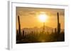 Saguaro National Park, Arizona-Ian Shive-Framed Photographic Print